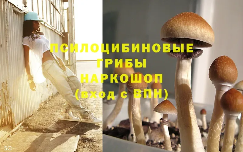 Псилоцибиновые грибы MAGIC MUSHROOMS  Карталы 